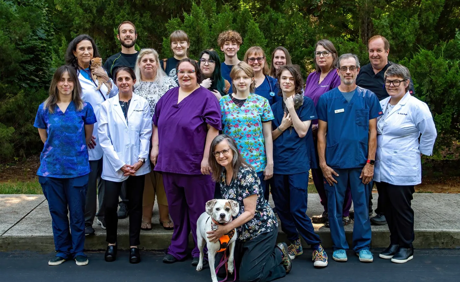 Entire staff team at Cole Park Veterinary Hospital